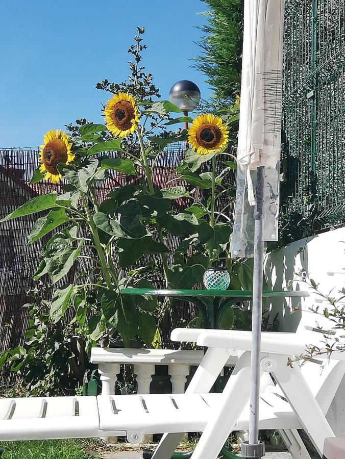 Duplex Con Vistas Al Mar Girasoles Apartment *
